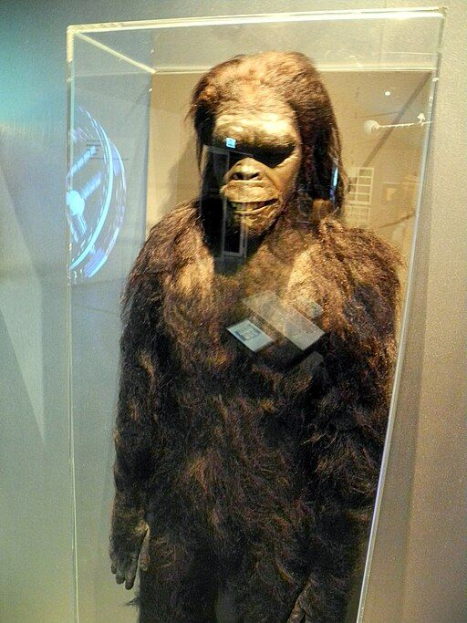 Dawn of man suit worn in 2001: a space odyssey.